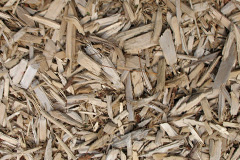 biomass boilers Lilyhurst